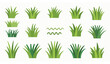 © Songkari - Flat style grass vector set with isolated blades tufts and clumps for landscape and nature illustration