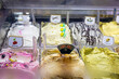 © Ina - Display of colorful Italian gelato in a street food shop in Palermo, Sicily. Traditional dessert, local cuisine and authentic travel food experience.