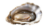 160_f_1957358140_oznqhhwf1wtvzfhmdw7lwdeifxb5orht