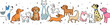 © MdRakib - Adorable Collection of Hand Drawn Cartoon Domestic Pets Including Dogs Cat and Rabbit for Veterinary and Animal Care Designs
