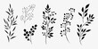© Smritykona - Elegant black silhouettes of various leafy branches and botanical elements