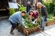 © Rawpixel.com - Community gardening group planting.