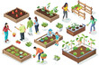 © Bipul - Isometric illustration of people gardening in raised beds and tending plants