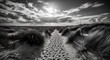 © zaan's world - Walking along a winding path bordered by grasses, footprints leading forward, under dramatic clouds in a tranquil black‑and‑white landscape photograph