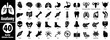 © Hafiz - Anatomy Solid Icons Set. Black fill style representing organs and body parts like the brain, heart, lungs, and more, vector illustration.
