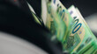 © wedmoments.stock - Banknotes stacked in money counting machine tray. Profit and wealth concept.