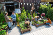 © Rawpixel.com - Community garden with diverse gardeners.