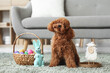 © Pixel-Shot - Cute Toy Poodle dog with wicker basket of Easter eggs and toy rabbit sitting on carpet in living room