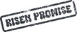 ©  Design_ mn - A meaningful distressed rubber stamp impression illustrating the significant phrase Risen Promise for spiritual content