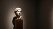 © ayu - Classical Marble Bust of a Young Man in Dramatic Spotlight.