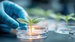 © Best - This field applies biology to solve environmental issues, using microbes and enzymes to break down pollutants and improve water, soil, and air quality.