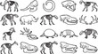 © Precision CAD System - Line art of various animal skeletons, showcasing intricate skeletal structures and highlighting the diversity of life forms. A detailed representation of anatomy for educational purposes.