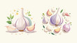 © Pasko - Vector illustrations of fresh garlic bulbs and cloves with delicate leaves, emphasizing their natural beauty and culinary essence for various design projects