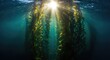 © AkuAku - Radiance streaming down through underwater kelp nourishing marine habitats