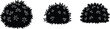© Amatullah Nasrin - flower, bush, silhouette, floral, shrub, plant, nature, botanical, foliage, garden, decorative, isolated, black, vector, clipart, design, wild, outdoor, element, ornament