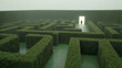 © master1305 - Businessman walking through hedge maze toward bright exit door symbolizing decision and success. Concept of business strategy, problem solving, career growth, leadership and finding direction.
