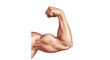 © SAYEDA - A muscular arm flexing to showcase strength and definition isolated on transparent background