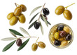 © Shakil - Olives with leaves and bowl green isolated on a transparent background