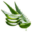 © Golam - Aloe vera plant with sliced leaves green isolated on a transparent background