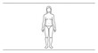 © Afik - Minimalist female body outline diagram for health and medical study human anatomy representation