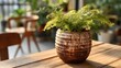 © Plaifah - Fern Plant in Rustic Pot Captured in Bright Indoor Setting