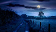© VexoraImages - Countryside path leading to farm under full moonlight