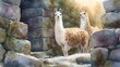 © decorator - Serene llamas grace ancient Inca ruins a peaceful watercolor illustration of cultural heritage