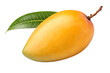© Munshi - Ripe Yellow Nam Dok Mai Mango Isolated on White Background