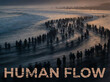 © Nataschen - Silhouetted crowd of people walking along a beach shoreline at dusk, waves gently lapping at their feet under a fading sunset sky. For concepts of migration and humanitarian crisis