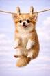 © PoyTumStudio - Charming chihuahua hanging on a clothesline against a blue sky