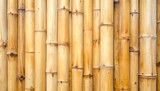 An eye-level shot of multiple bamboo stalks, creating a textured wall effect, showcasing their natural beauty