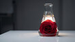 © Muhammad - A striking red rose, beautifully illuminated within an Erlenmeyer flask of clear water, set against a mysterious dark background.