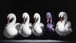 © AlmerGungor - Purple Swan Trying to Blend In Among White Swans but Clearly Standing Out, Outlier, Anomaly, NonconformistOutsider, Not belonging, non‑belonging, Surreal, AI generated Art