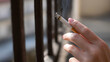 © photo for everything - Close-up of a hand holding a lit cigarette with smoke rising, captured outdoors in natural light. This image portrays habit and contemplation