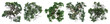 © Rawpixel.com - PNG Diverse aerial tree canopy views on transparent background