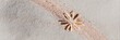 © Andrii Zastrozhnov - Small daisy imprint along diagonal pastel powder stripe subtle floral detail on textured background