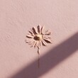 © Andrii Zastrozhnov - Powder daisy pink shadow minimalist composition crushed powder stem floral imprint on pastel surface