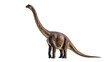 © Alexander - Brown Brachiosaurus isolated on transparent background, ancient life
