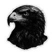 © Rawpixel.com - PNG Detailed eagle head illustration