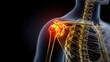 © gazali - Anatomical illustration of human shoulder joint pain and inflammation, medical diagnostic visualization