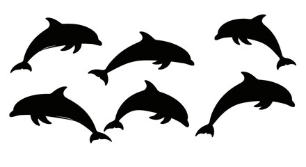  Several dolphins leaping and swimming depicted as a striking silhouette