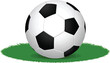 © Adobe - Classic soccer ball placed on green grass isolated on clean white background