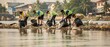 © Benxiumo - Volunteers wearing bright vests and gloves work together cleaning plastic waste from a polluted riverbank filling large black bags with collected rubbish