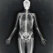 © Free - X-Ray van het Menselijk Lichaam, Medische Anatomie Illustratie met Skeletstructuur en Transparante Röntgenstijl
