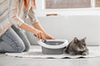 © Pixel-Shot - Owner with scoop cleaning cat litter box in bathroom