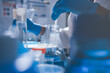 © Sirikarn Rinruesee - Science, laboratory and woman with pipette, test tube and biotech solution in research. Medical innovation, scientist or lab technician in study for healthcare, medicine and vaccine results feedback.