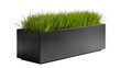 © Pablo - Modern rectangular black planter box filled with vibrant green grass, isolated on transparent background for landscaping designs and garden decor