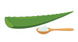 © Mariya - A cartoon whole aloe vera leaf is presented alongside a wooden spoon holding white cream on a white background.