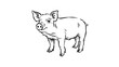 © atik - Cute Piglet Line Art Drawing Illustration on White Background, Hand-Drawn Farm Animal Outline Sketch