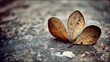 © Njuliyan - Three delicate dried brown leaves lie gently on a rugged stone, a profound visual of nature's impermanence and the quiet beauty found in the cycle of autumn's embrace